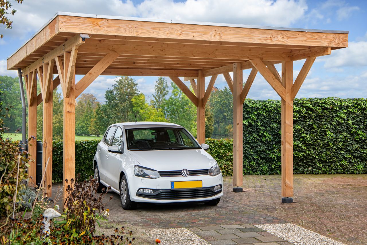 Douglas carport Lemmer DHZ 450x600 cm