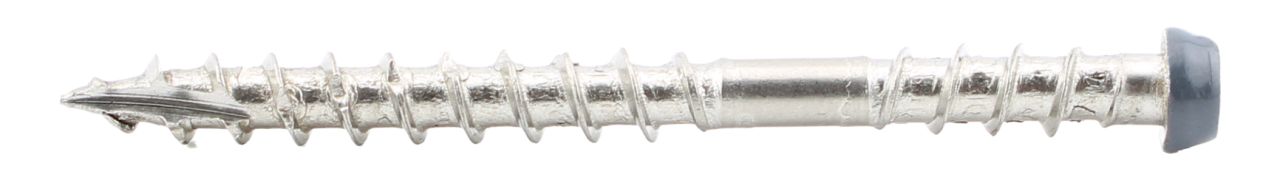 PuraFix vlonderplank schroef M5,3x58 mm RVS (75st.)