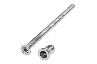 Voldraadbout M6x100 mm